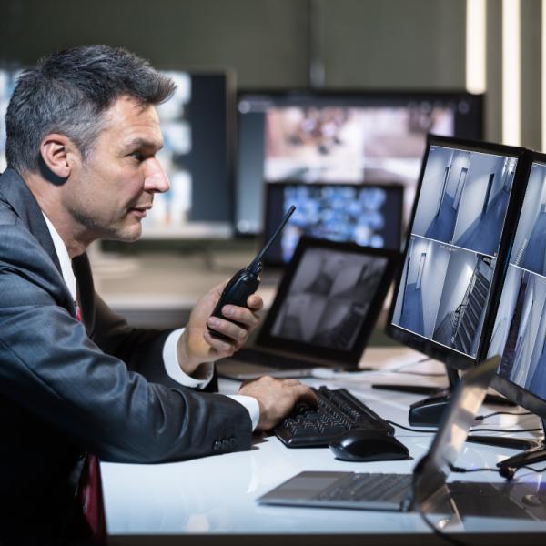 Vigilantes de Seguridad