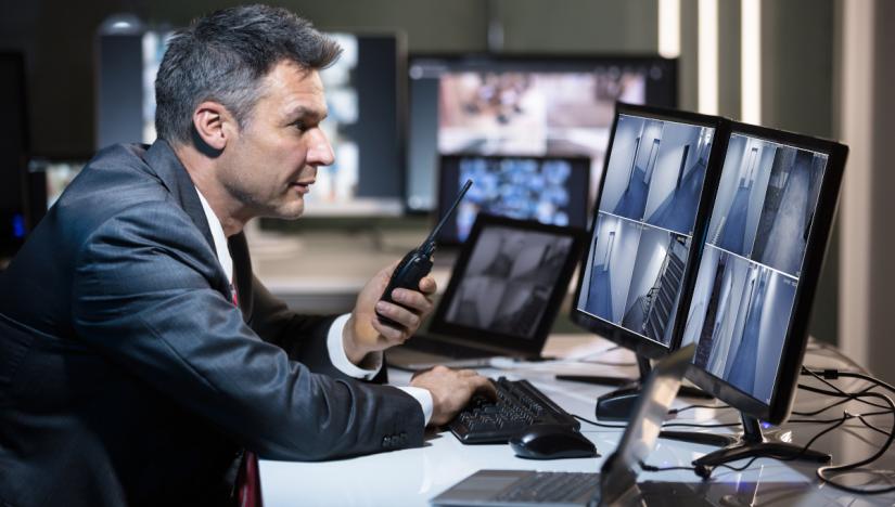 Vigilantes de Seguridad